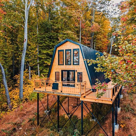 Secluded Mtn View New! 10 Mins To Gatlinburg Or Park别墅 外观 照片